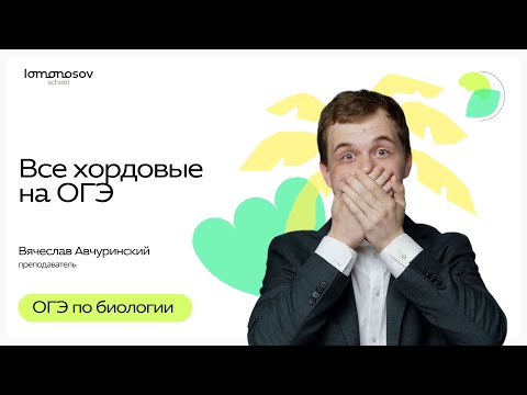 Видео: Все Хордовые на ОГЭ