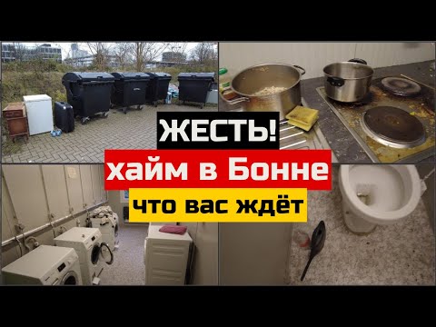 Видео: Жесть! Хайм в Германии: что вас ждёт. Обзор хайма, город Бонн. | Поздние переселенцы.