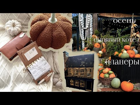 Видео: ✸ planner vlog: осенний set up, Гарри Поттер, чай, тыквы и уют🍂✨