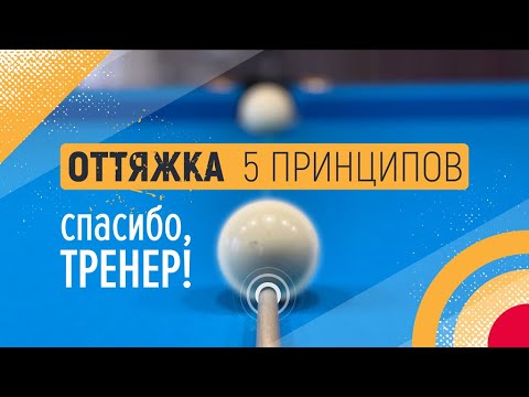 Видео: ОТТЯЖКА 5 ПРИНЦИПОВ | Спасибо,Тренер!
