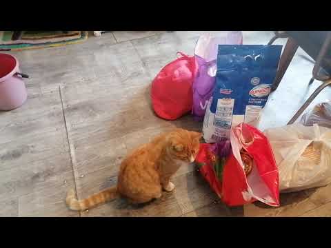 Видео: деревня,