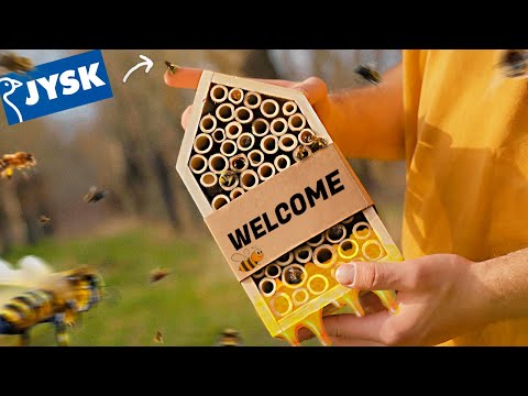 Видео: ДИВИСЬ, ЩО МИ ЗНАЙШЛИ В JYSK !)