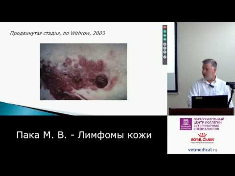 Видео: Пака М. В. - Лимфомы кожи