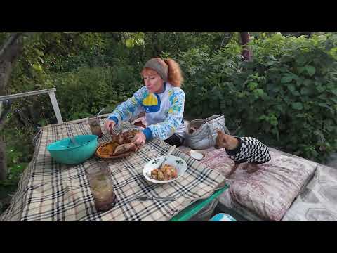 Видео: 19 августа   2 сентября 2025 Дача
