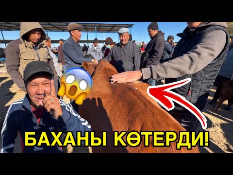 Видео: БАЗАРДА УЛКЕН ДАУ!  19-ОКТЯБР ШЫМБАЙ МАЛ БАЗАРЫ БАХАЛАРЫ ӨЗГЕРДИ