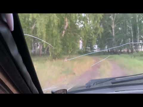 Видео: Дорога в Новосельское, Бурлинский район, Алтайский край