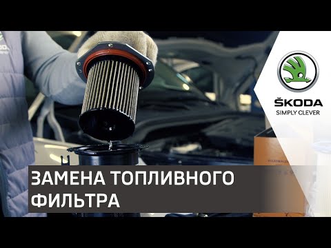 Видео: Мастер-класс по замене топливного фильтра | Автоцентр Прага Авто