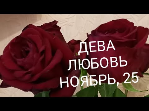 Видео: ДЕВА ЛЮБОВЬ НОЯБРЬ 2025 года