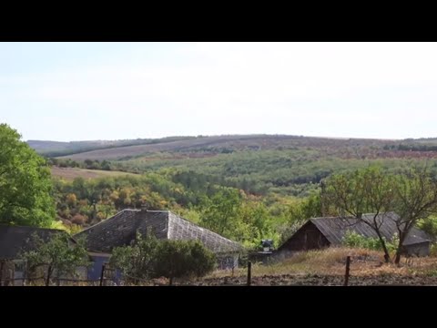 Видео: В путь! Село Плоть - 01/10/20
