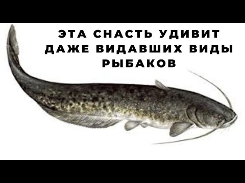 Видео: Подводный поплавок для сильного течения увеличит Ваши шансы