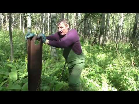 Видео: Есть еще тяжелый металл на старых делянках.