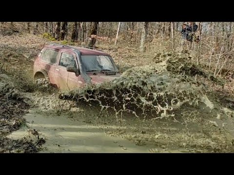 Видео: На все БАБКИ