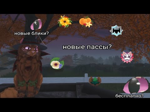 Видео: Обновление во вкуе | осеннее обновление | новые пассы | бесплатные блики | доска