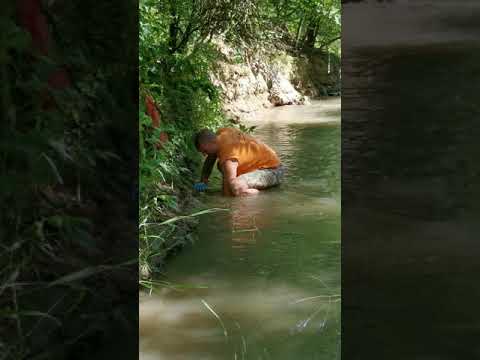 Видео: Лов на раци в с. Кошов