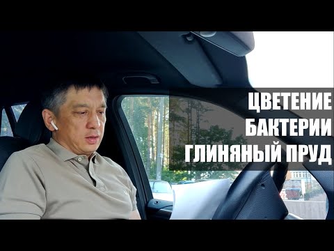 Видео: Ответы на вопросы по прудам | Цветение воды, бактерии, глиняный пруд