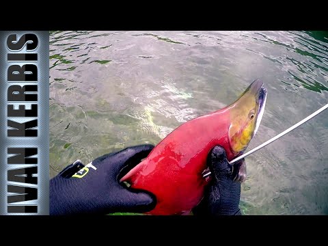 Видео: «На краю земли» | Подводная охота на Камчатке (часть 1)