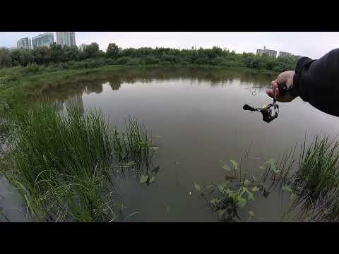 Видео: Навахо Олта 662, плотва и мормышка 0.1 грамм.