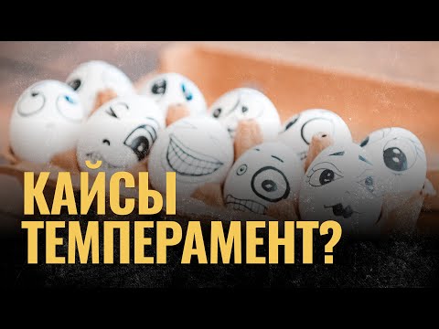 Видео: Кайсы темперамент? | ПОДКАСТ