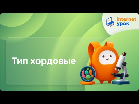 Видео: Биология 7 класс. Тип хордовые