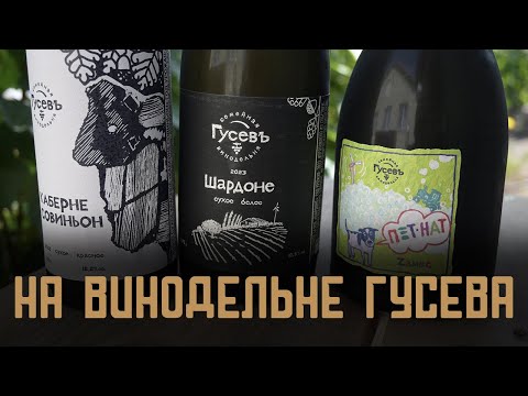Видео: В гостях у Дмитрия Гусева.