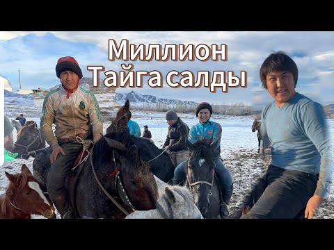 Видео: Оргу улак Миллион тайга салды