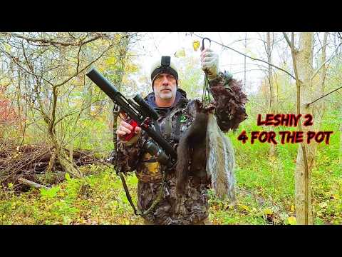 Видео: Охота на белку «Октябрьское утро» || Пневматическая винтовка «Леший-2»