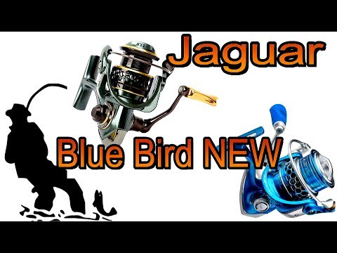 Видео: Обзор TSURINOYA Jaguar 1000 Favorite Blue Bird NEW!