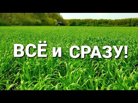 Видео: Знову НАХИМИЧИЛИ! Опрыскав и офигел🤔  Гербицид, инсектицид, карбамид,  фунгицид  на пшеницу