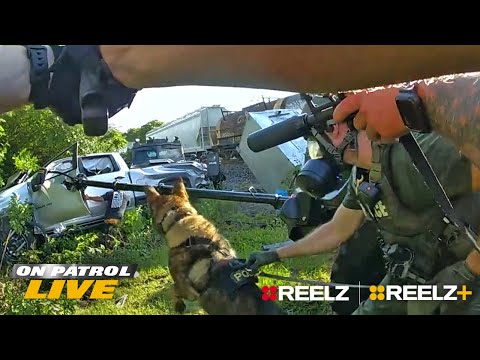 Видео: 12 подозреваемых узнают, почему не стоит связываться с полицией Огайо