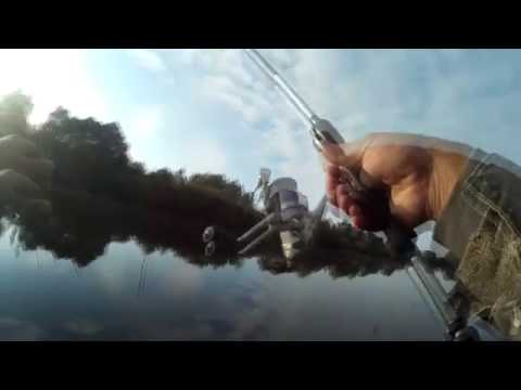 Видео: Ловля Щуки на копию  Jackall Magallon