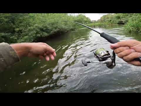 Видео: Обзор приманок на щуку и голавля! Мои самые уловистые приманки и надежды на это сезон!