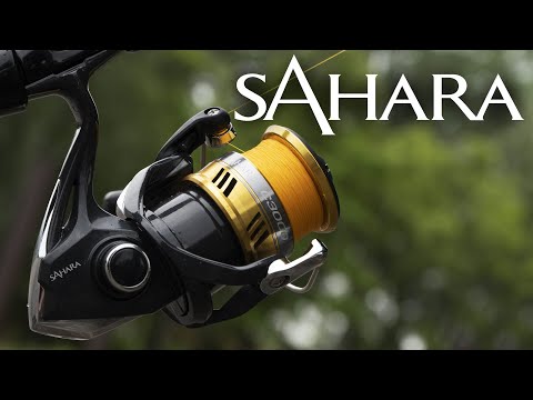 Видео: Обзор катушки Shimano Sahara FI