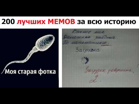 Видео: 200 лучших мемов за всю историю Земли