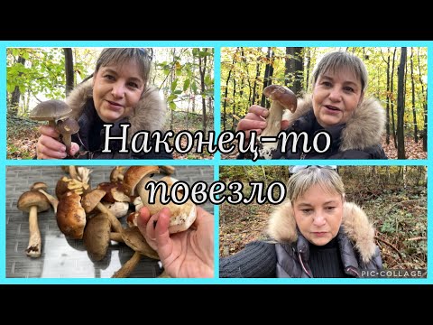 Видео: Наконец-то повезло,опять в лес,пока не поздно,заплутала,дорогу нашла,машину потеряла 🙈Дома😅