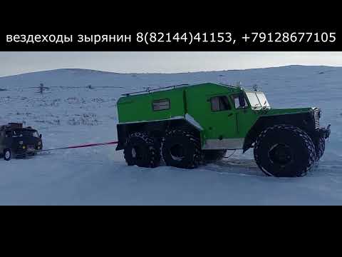 Видео: Прилетел вдруг волшебник на зелёном Зырянине