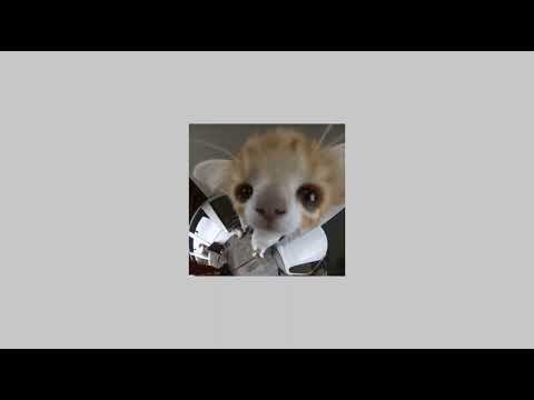 Видео: ternovoy- домофон (speed up)