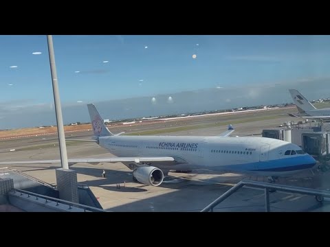 Видео: Наши друзья Таня и Нина путешествуют по Японии