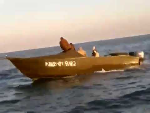 Видео: байды на дальнибой