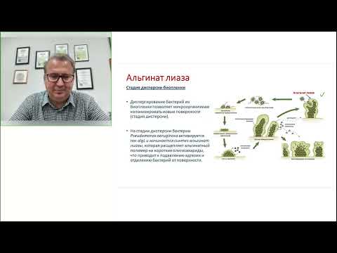 Видео: Вебинар: "Использование ферментов для борьбы с биологическими пленками основных возбудителей ИСМП"