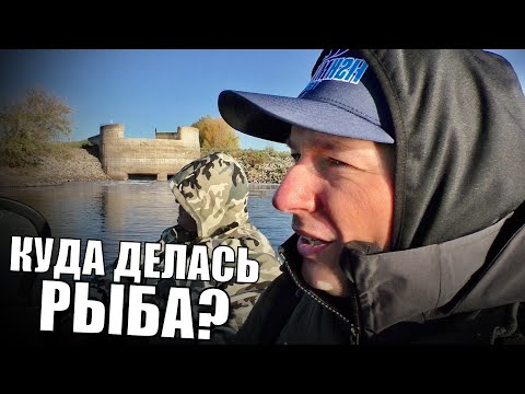 Видео: Почему на Волге стало так мало рыбы? По Волгограду на лодке с ихтиологом
