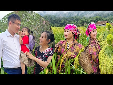 Видео: Региональный деликатес из отборного риса: хотите попробовать зеленый рис?