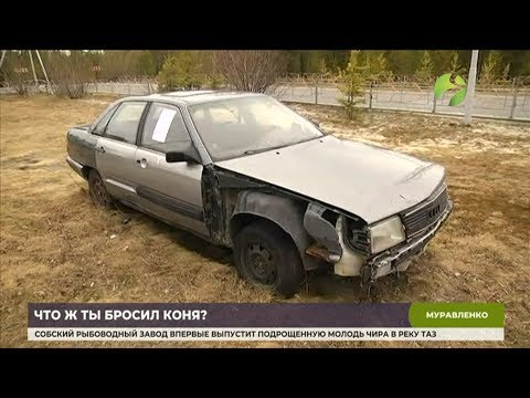 Видео: В Муравленко избавляются от брошенного во дворах автохлама