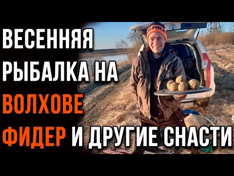 Видео: Особенности весенней рыбалки на Волхове, фидер и другие снасти.
