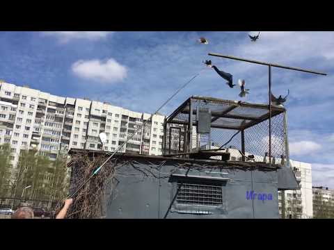Видео: Голубятня из СССР. REVIEW: pigeon from the USSR.