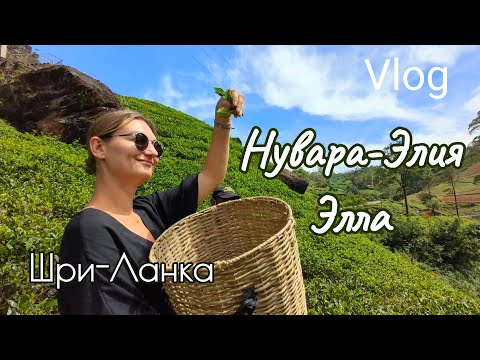 Видео: Шри-Ланка. Путешествие из Нувара-Элии в Эллу. Чайные плантации. Водопад Рамбода. Гранд Отель. Почта