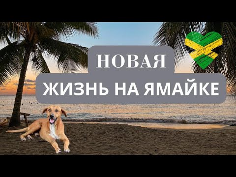 Видео: Жизнь на Ямайке