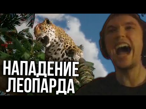 Видео: Серега Пират через ПАРАЗИТОВ в Green Hell