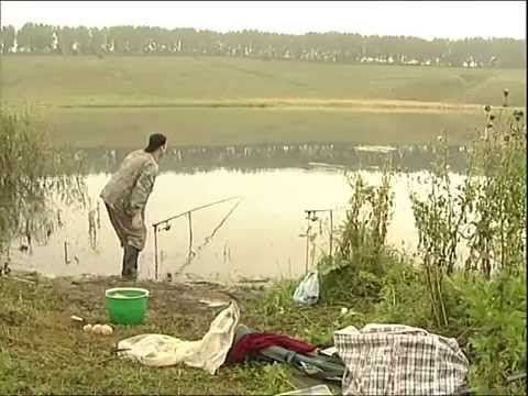 Видео: Рыбак Рыбаку 045 "Ловля карпа с прикормкой".