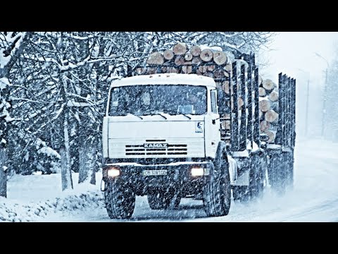 Видео: работа лесовоза