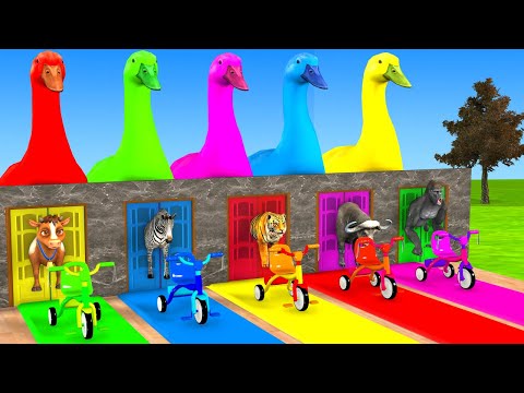 Видео: Длинная горка с коровой, слоном, гориллой, бегемотом, тигром, 3D-игра с животными, забавные 3D-жи...